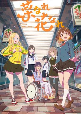 大石坝网站推广优化方案